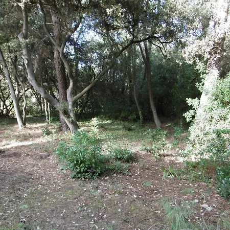 6 Pers A Avec Acces Direct A La - Animaux Bienvenus - Fr-1-823-51 Holiday home Noirmoutier-en-l'Ile